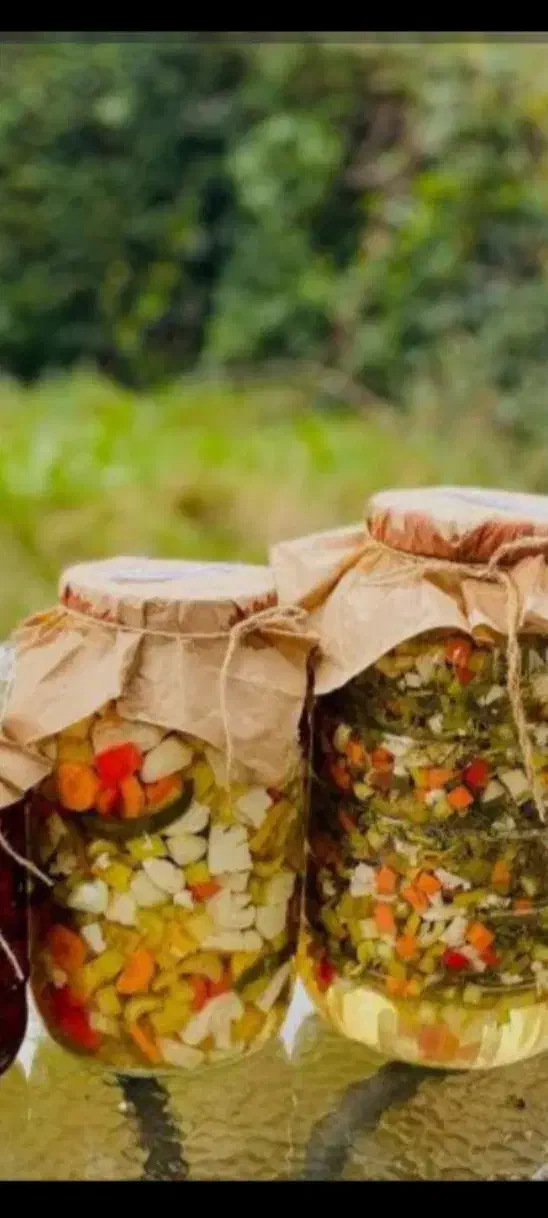 ترشی‌خانگی‌وسیرترشی|خوردنی و آشامیدنی|تهران, بهداشت|دیوار