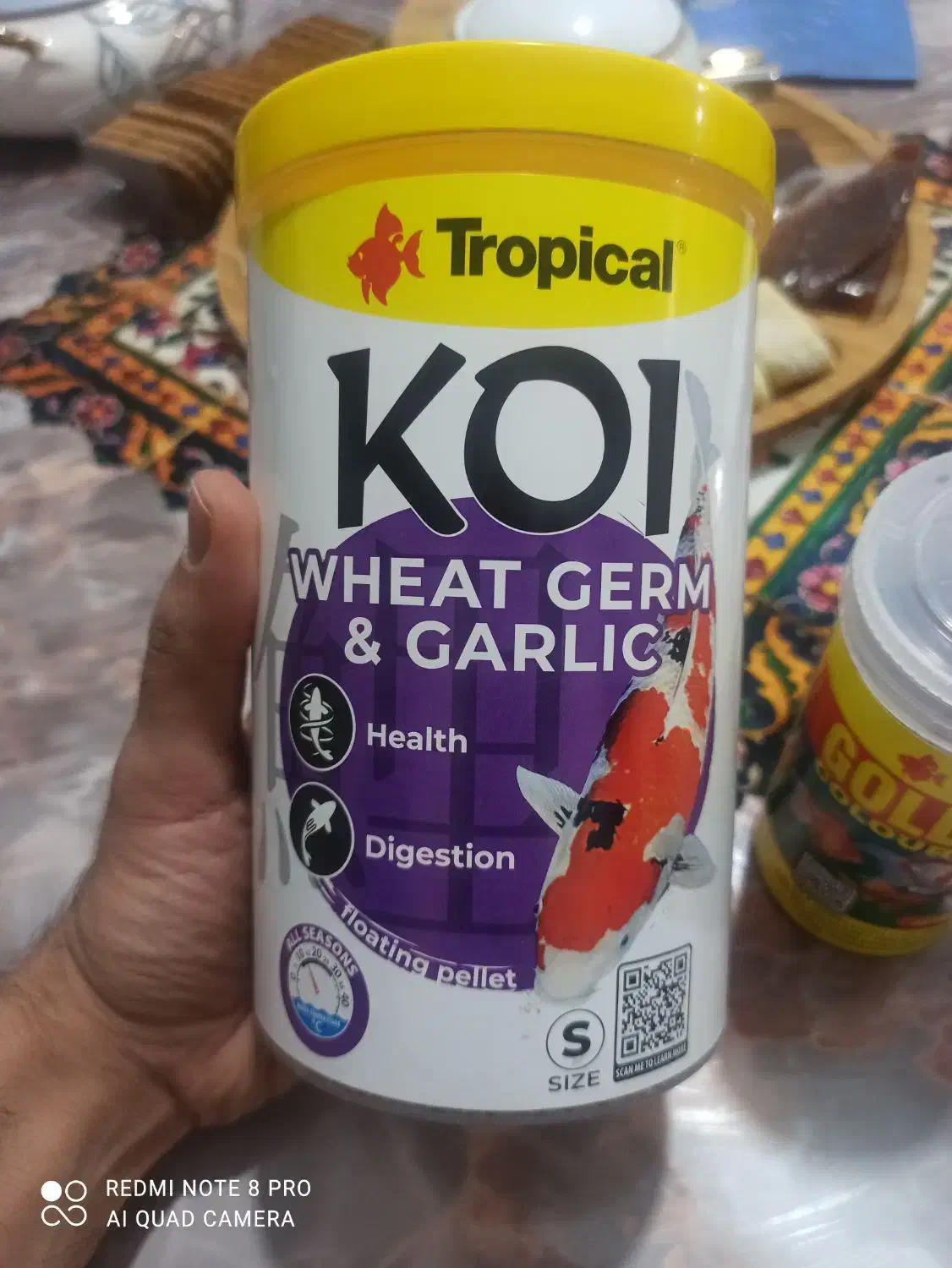 غذای گلدفیش تروپیکال|ماهی|فردیس, منظریه|دیوار