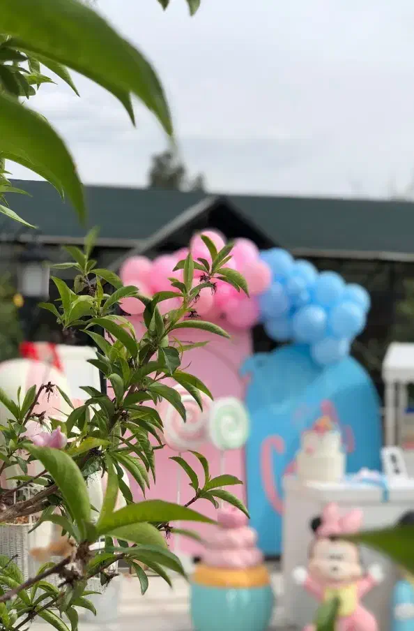 عکاسی و فیلمبردار (خانم)|خدمات پذیرایی، مراسم|مشهد, جاهد شهر|دیوار