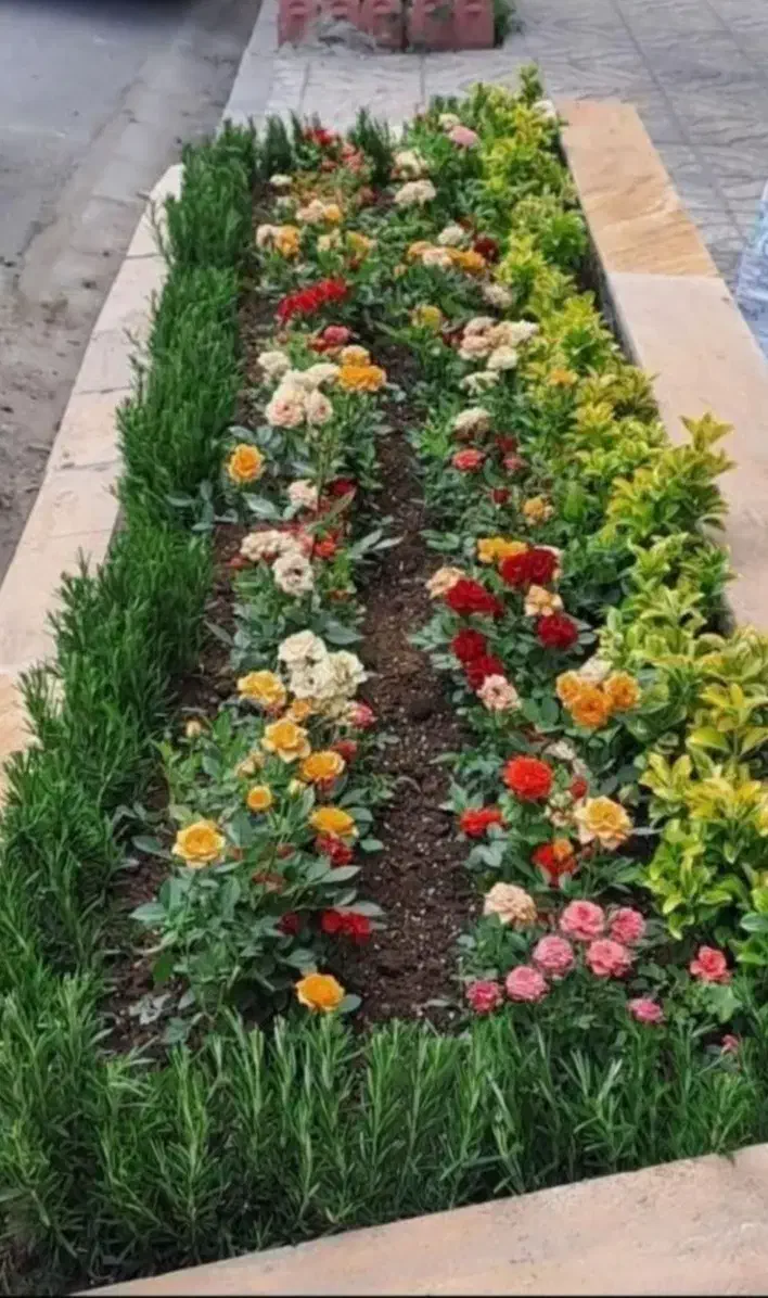 گل کاری وباغبانی هرس کاری وپابیل کردن|خدمات باغبانی و درختکاری|قم, بلوار امین و ساحلی|دیوار