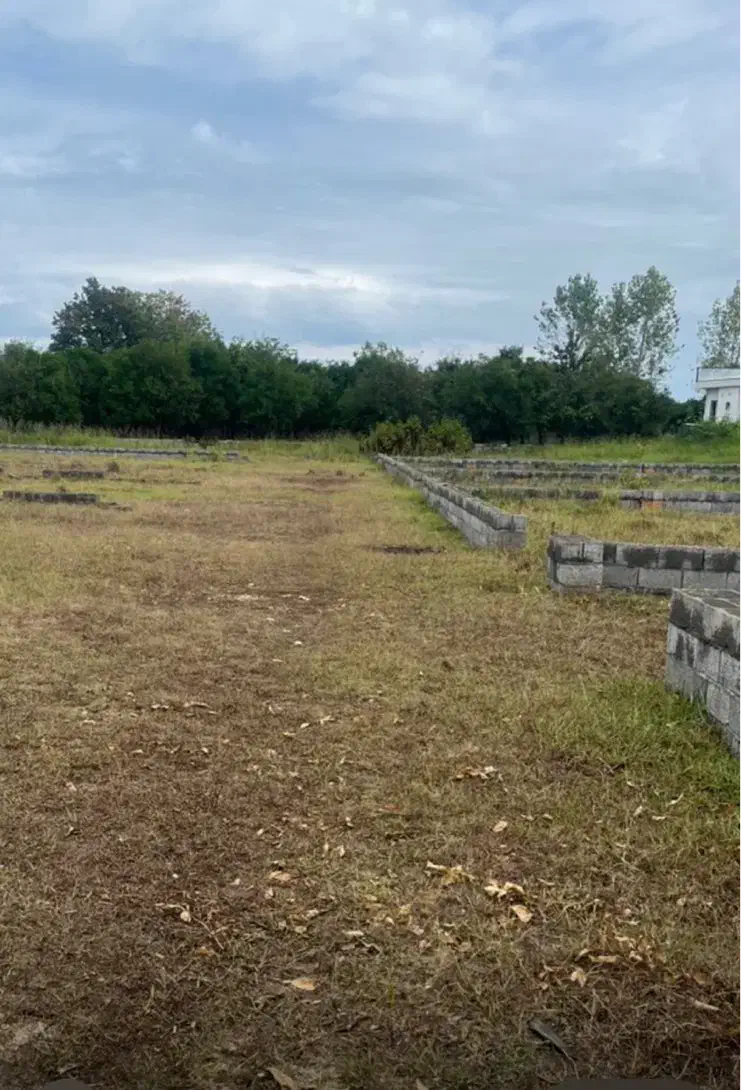 زمین اکازیون|فروش زمین و ملک کلنگی|نشتارود, |دیوار