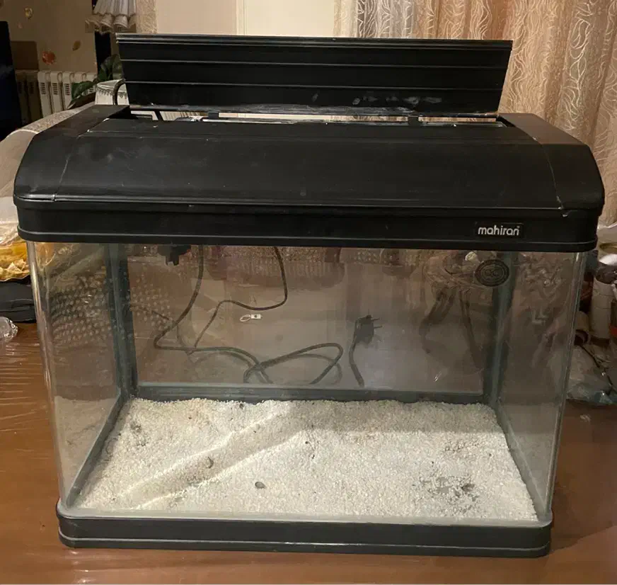 آکواریوم|ماهی|تهران, سوهانک|دیوار