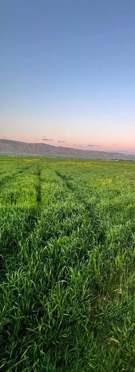 نیازمند نیروی کار|استخدام سرایداری و نظافت|کوهدشت, |دیوار