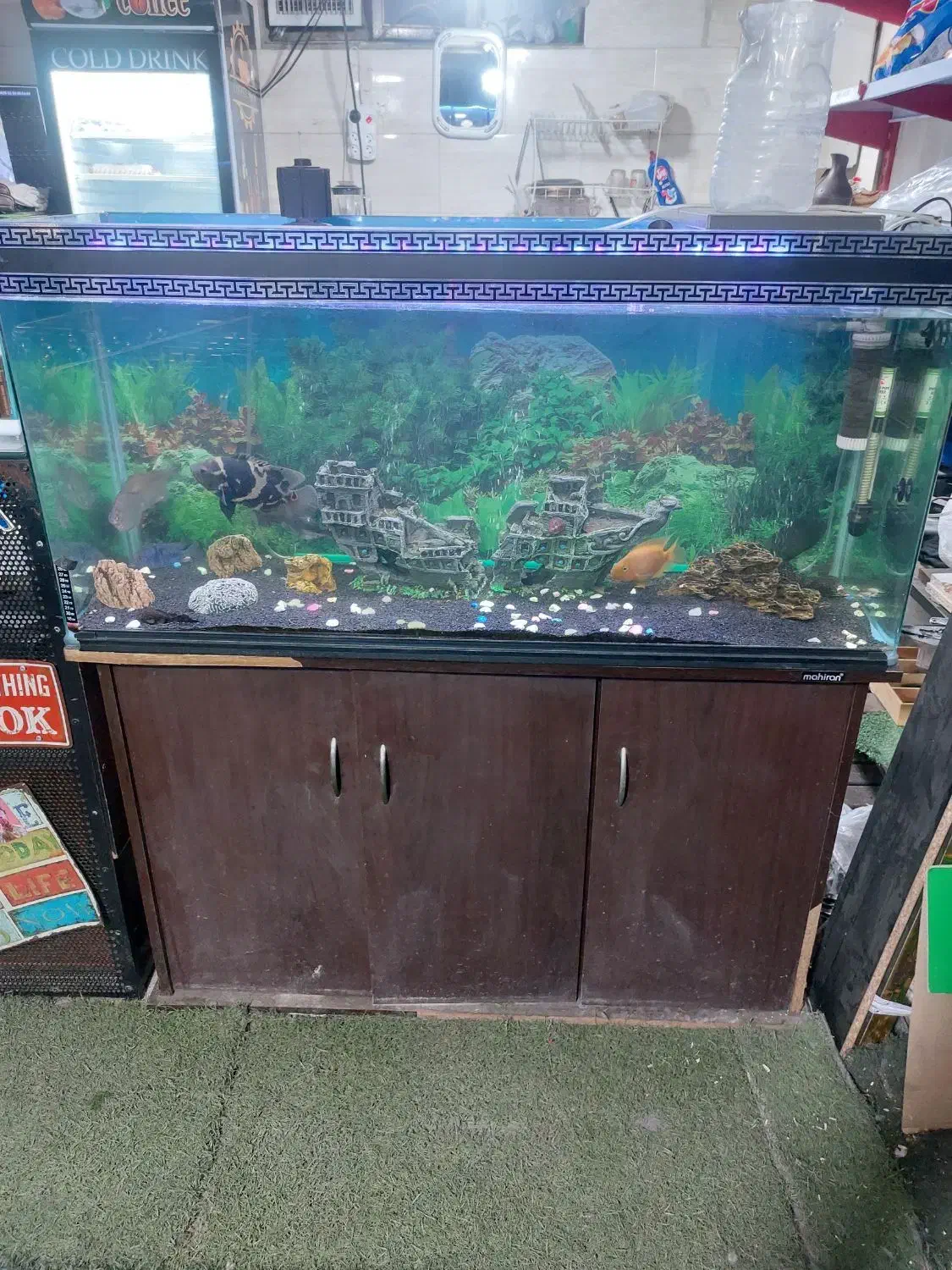 اکواریوم|ماهی|تهران, جوادیه تهرانپارس|دیوار