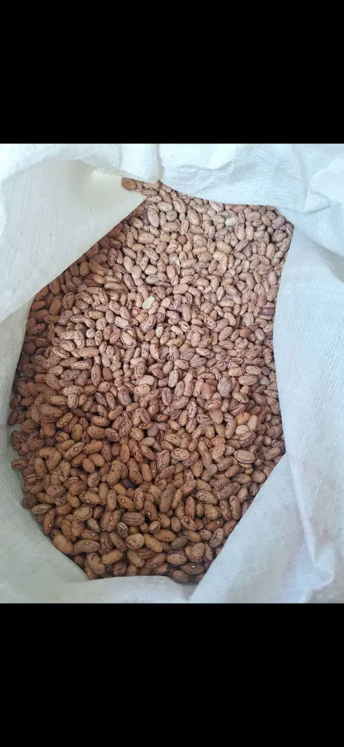 لوبیا چیتی|عمدهفروشی|بهبهان, |دیوار