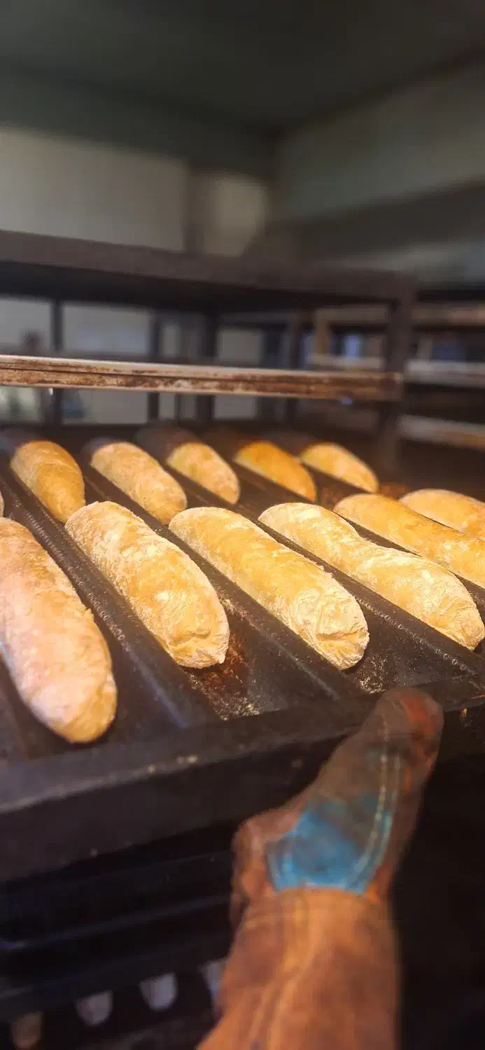 بسته بندی و تولید/شیفت شب با حقوق و مزایا خوب|استخدام صنعتی، فنی، مهندسی|تهران, امیرآباد|دیوار