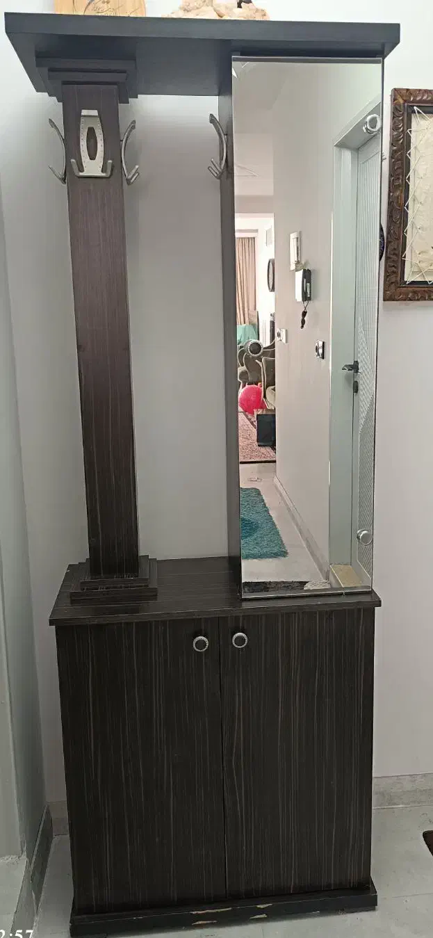 جاکفشی بهمراه جالباسی|جاکفشی، کمد، دراور|بیرجند, |دیوار