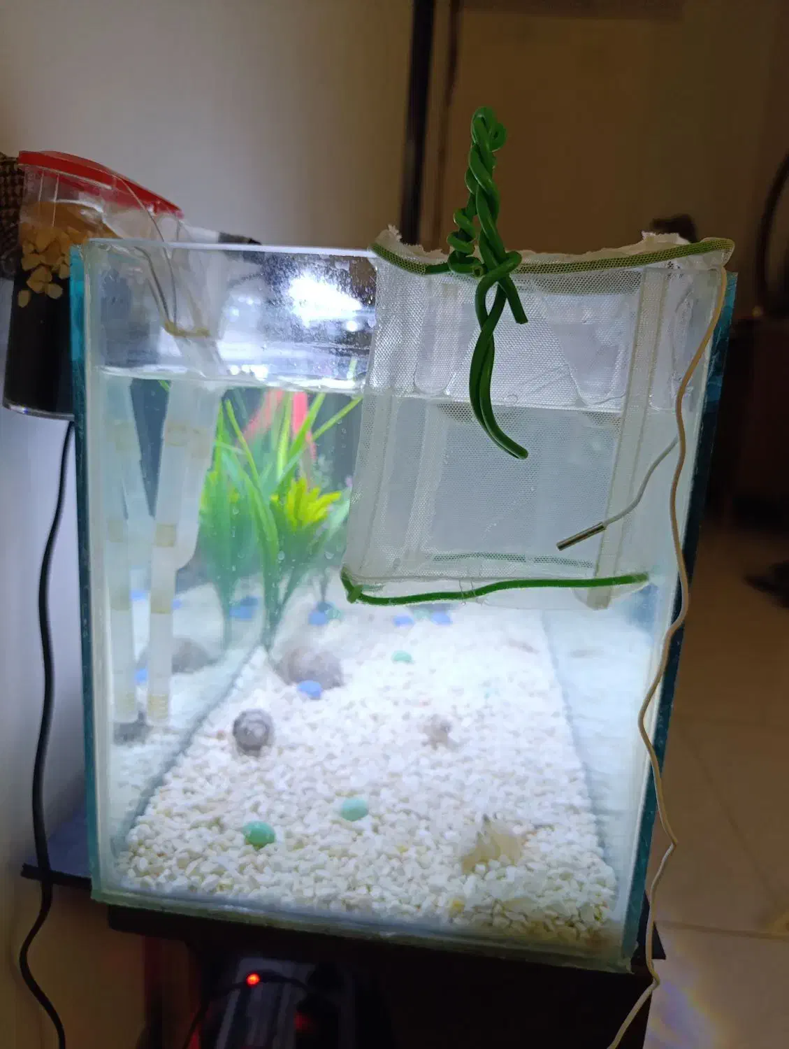 آکواریوم|ماهی|کرج, شهرک رضوانیه|دیوار