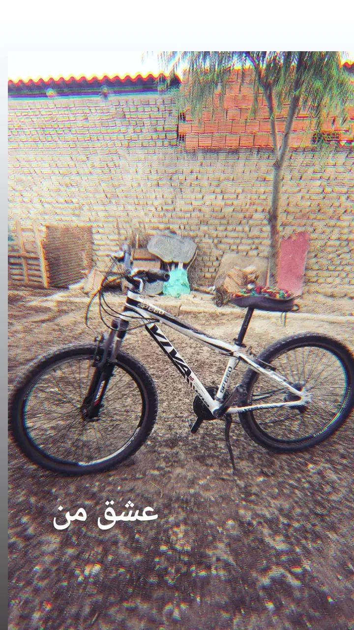 دوعدد دوچرخه ۲۶ ویوا اصل|دوچرخه، اسکیت، اسکوتر|گرگان, |دیوار