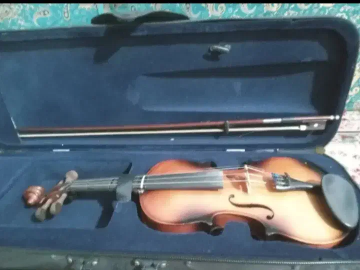 ویالون در حد نو|ویولن|گرگان, |دیوار