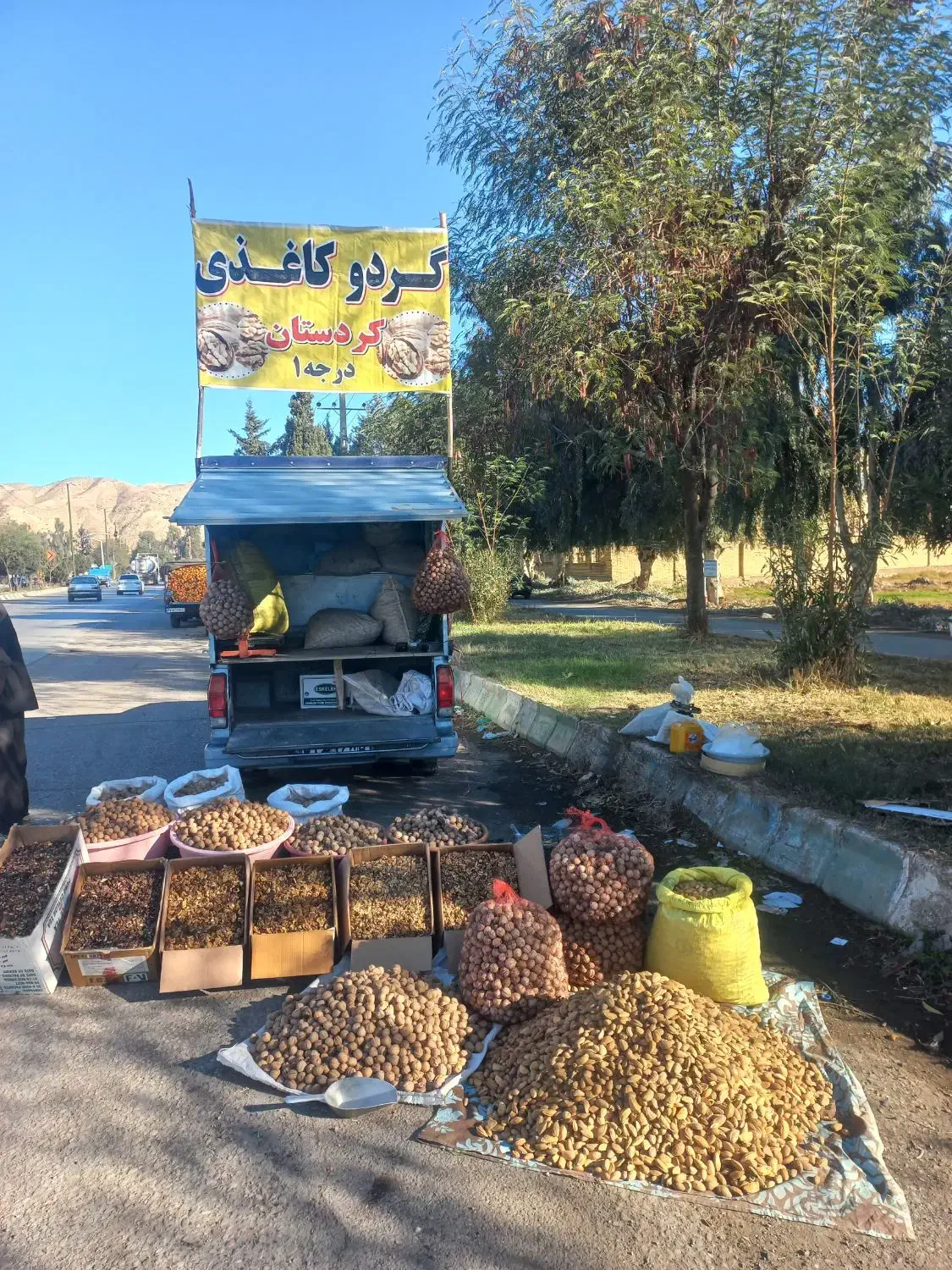گردو محلی سنندج|خوردنی و آشامیدنی|پلدختر, |دیوار