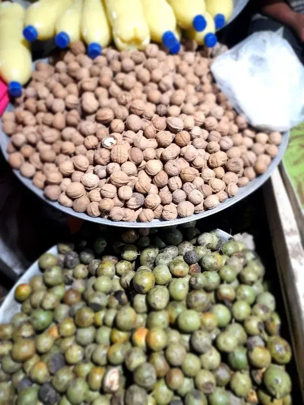 آلو خوانساری گردو سبز گردو خشک پارساله بادام|خوردنی و آشامیدنی|قم, جمکران|دیوار
