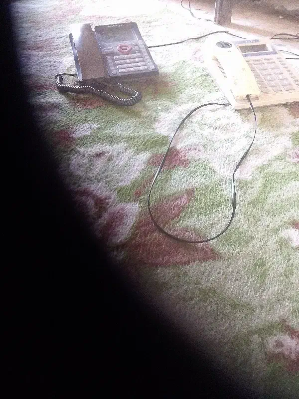 حمل مسافر|خدمات حمل و نقل|دهدشت, |دیوار