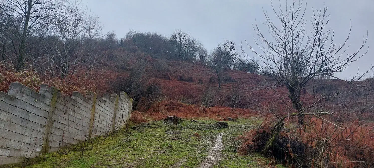 زمین مسکونی/۱۷۷مترمربع/ویو جنگل های خانه های آسیاب|فروش زمین و ملک کلنگی|آستارا, |دیوار