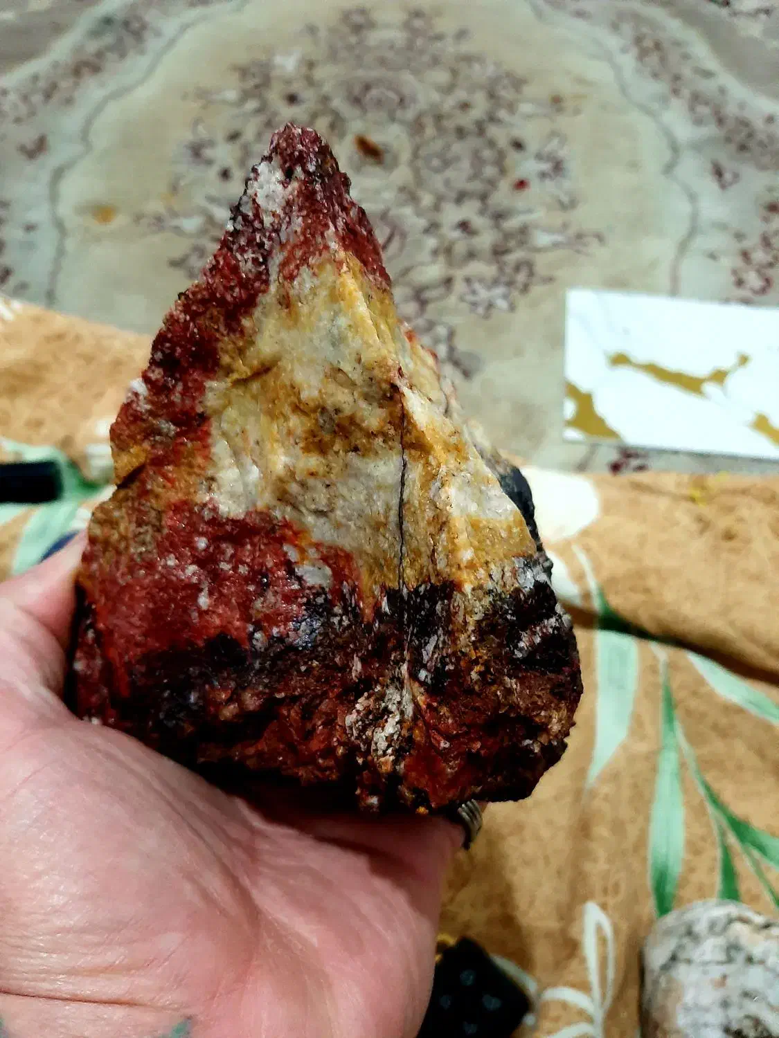 سنگ راف شجر کلکسیونی و سنگ به صورت مار|کلکسیون اشیاء عتیقه|پرند, فاز ۶|دیوار