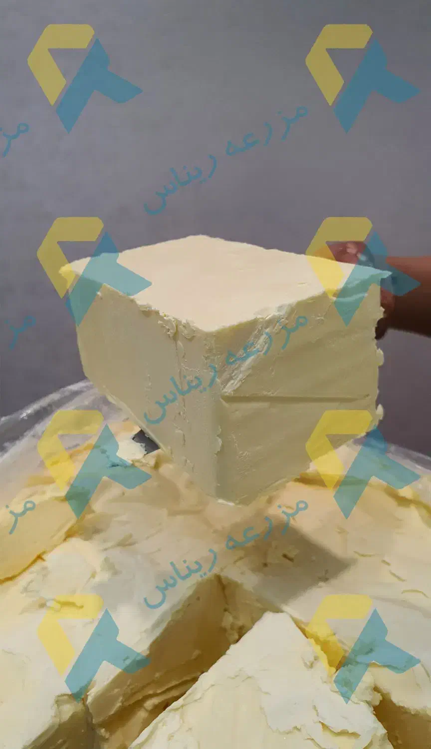 کره و روغن حیوانی|خوردنی و آشامیدنی|قم, انسجام|دیوار