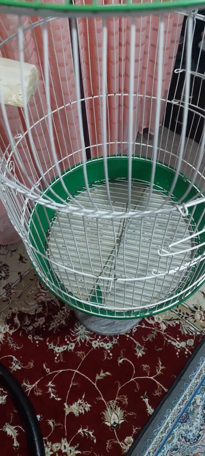 قفس پرنده|لوازم جانبی حیوانات|کرمانشاه, |دیوار