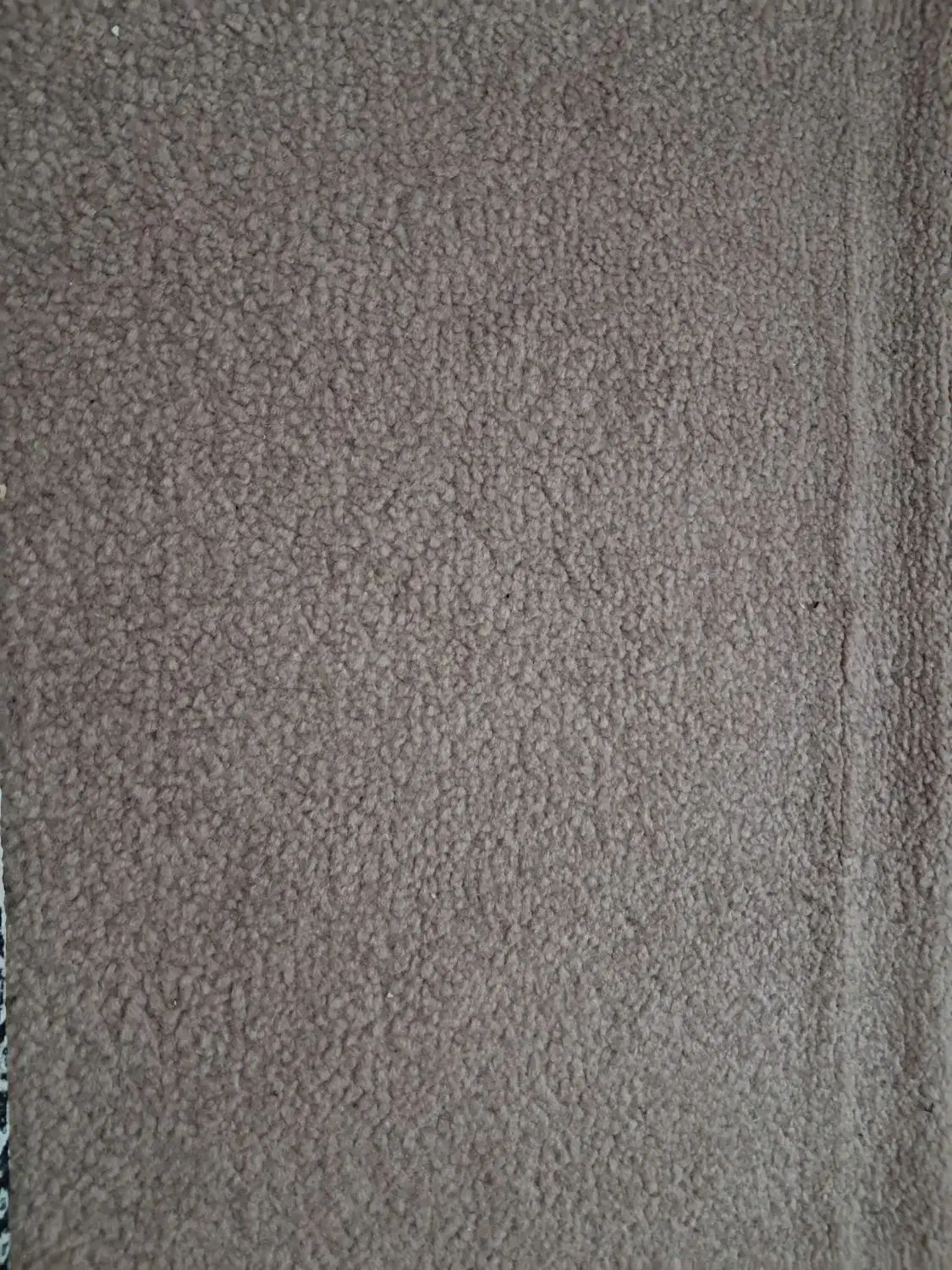 موکت|موکت|ساوه, |دیوار