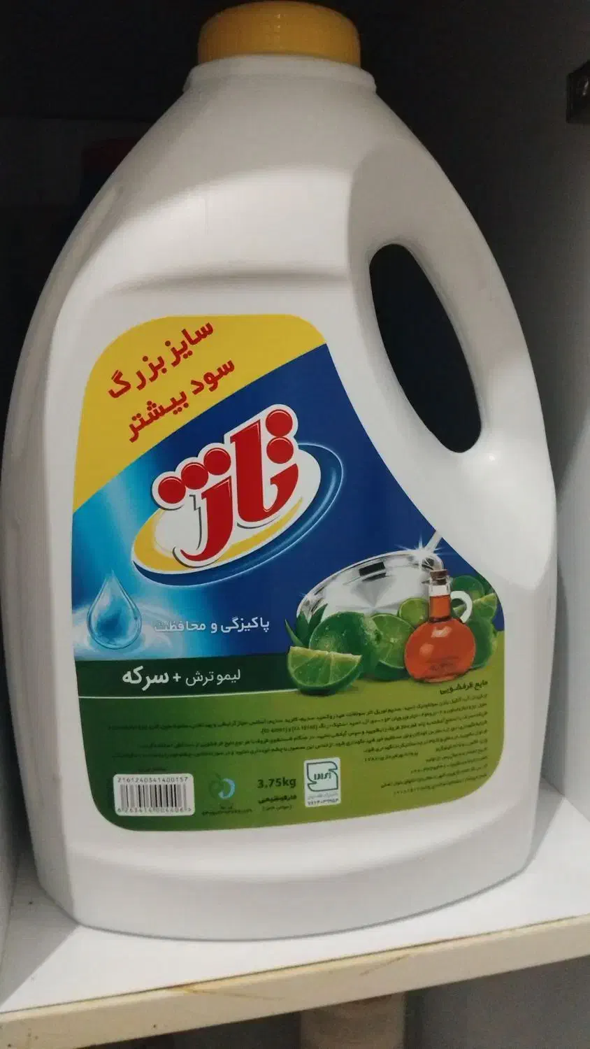 تاژ|ویولن|بوشهر, |دیوار