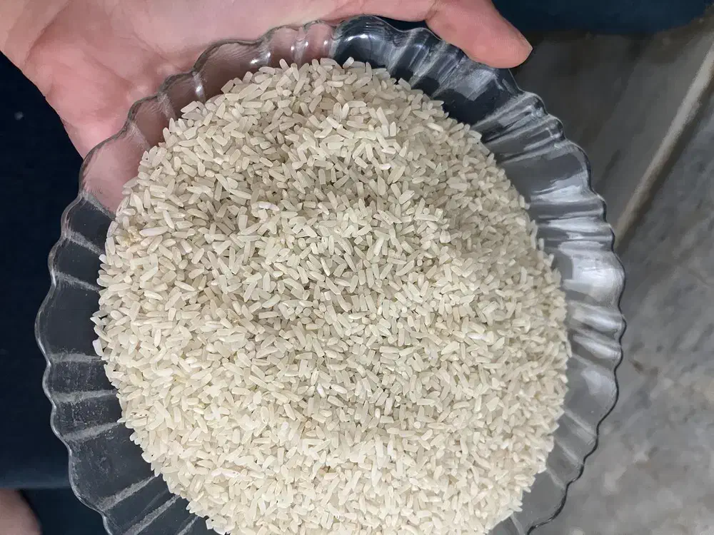 برنج نیم دانه وسرلاشه  هاشمی اعلاوبرنج درشت هاشمی|خوردنی و آشامیدنی|الوند, |دیوار