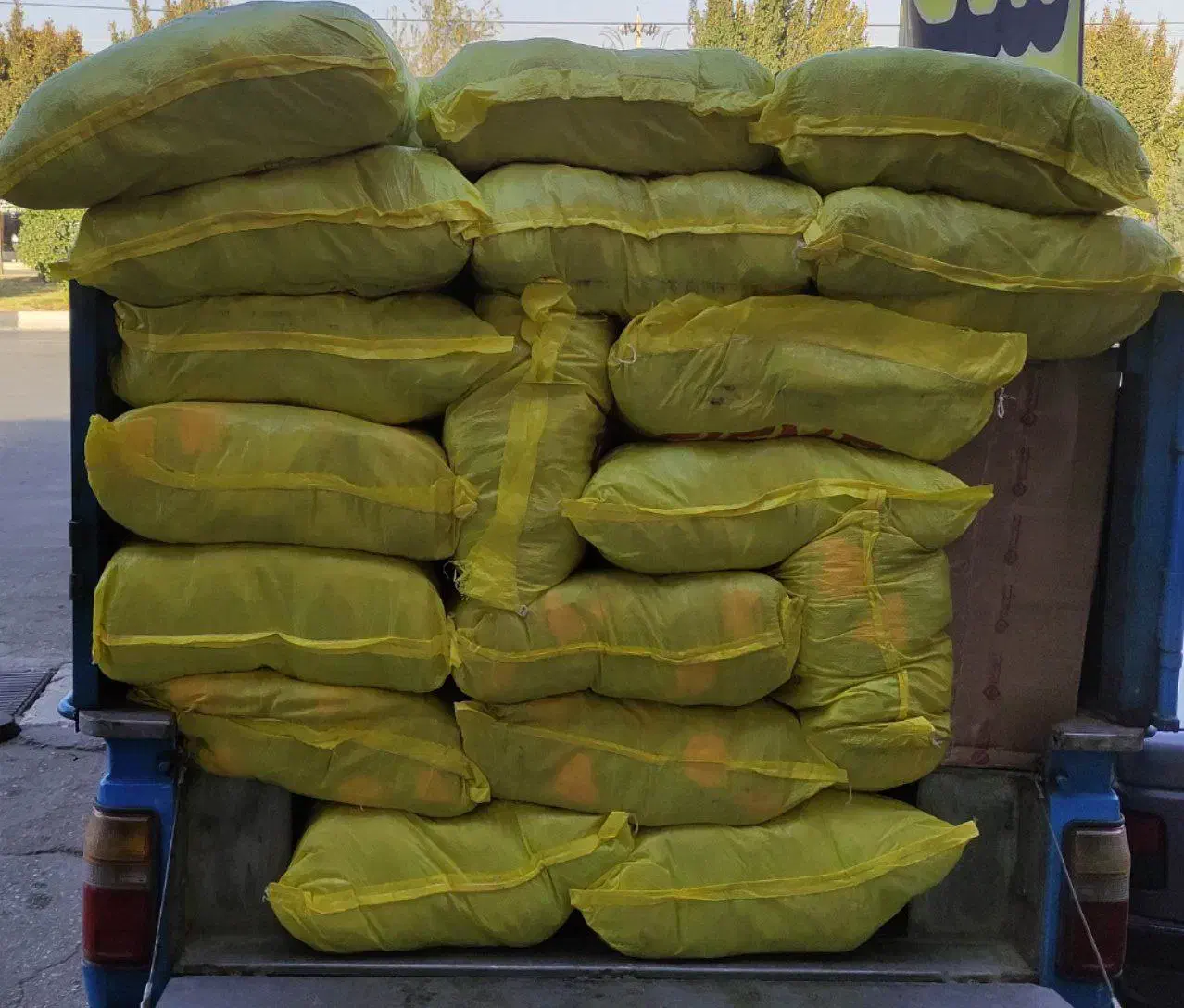 پخش دستکش سیگما|عمده‌فروشی|شیراز, شیخ علی چوپان|دیوار