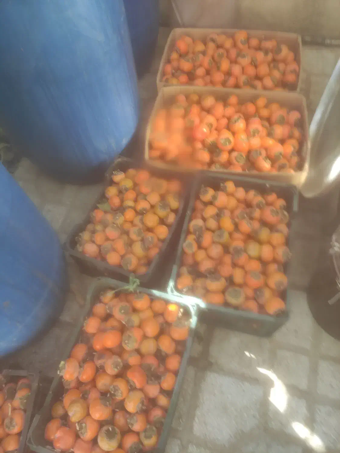 رب انار کاملا ارگانیک|خوردنی و آشامیدنی|شیراز, فرهنگ شهر|دیوار