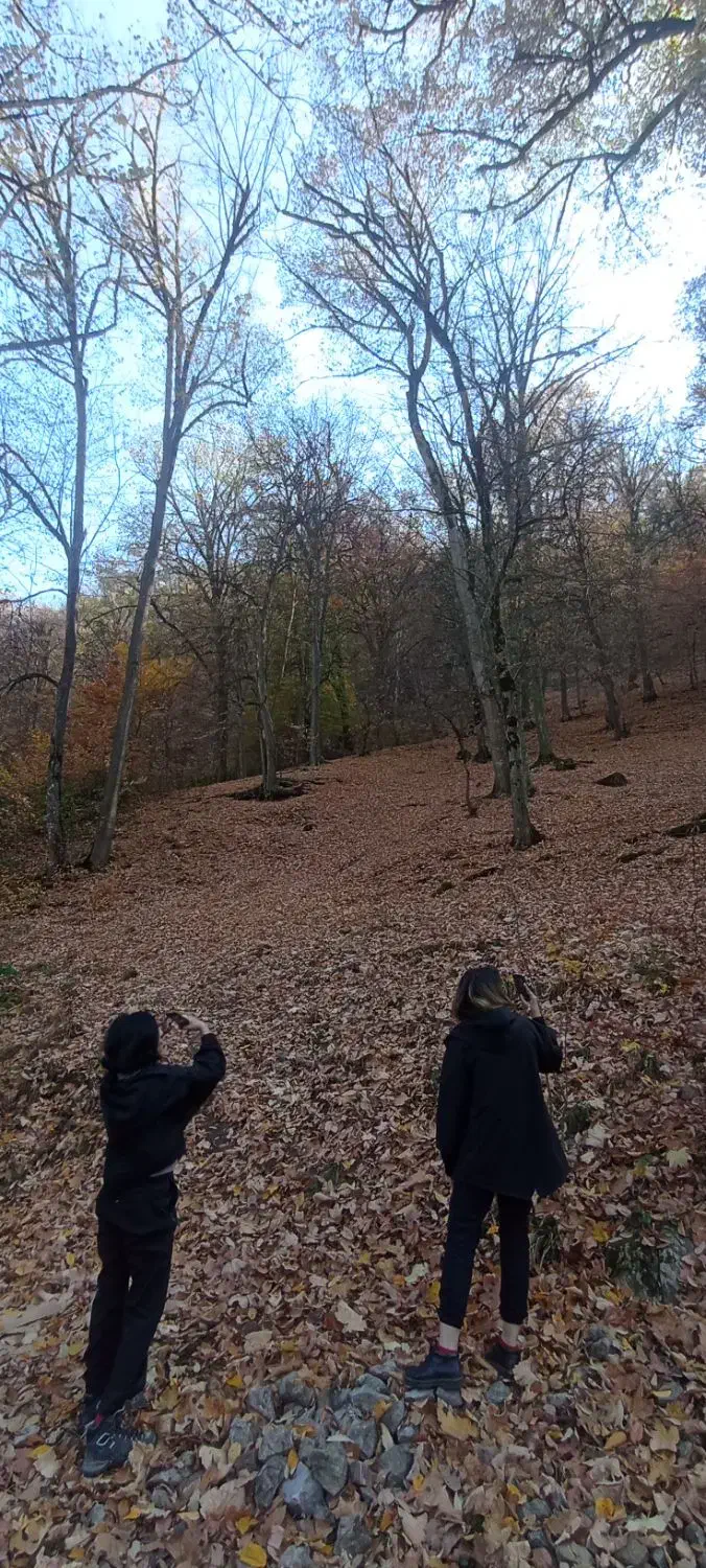 تور یک روزه گلستان گردی|تور و چارتر|گرگان, |دیوار