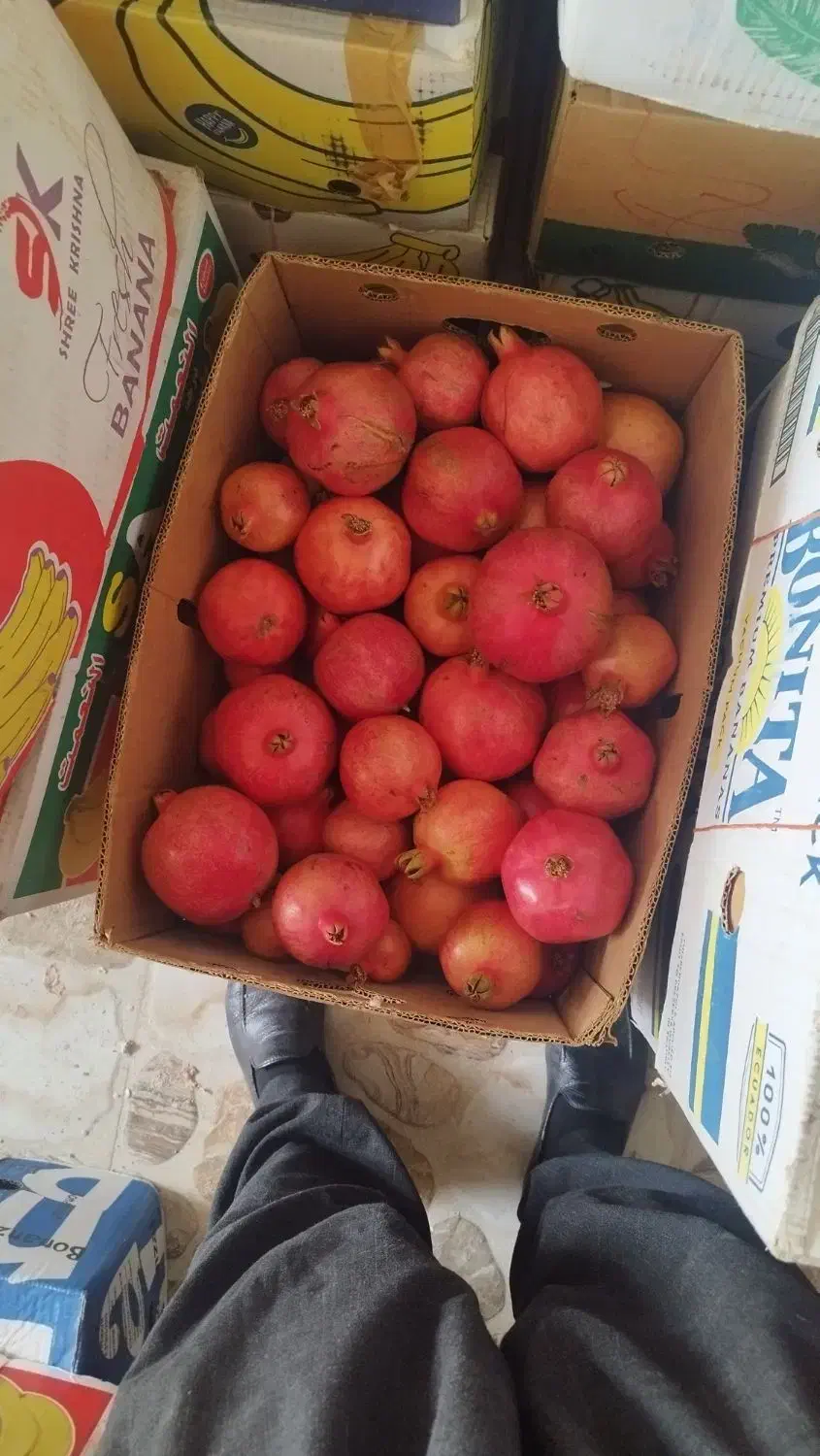 انار مخصوص شب یلدا|خوردنی و آشامیدنی|جوانرود, |دیوار