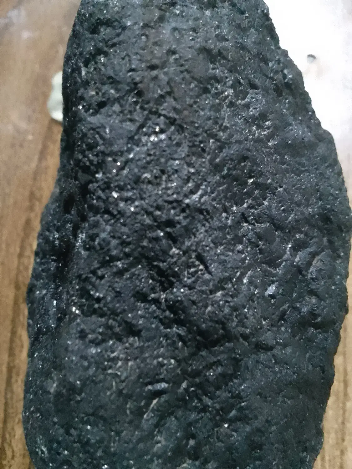 طبیعت|کلکسیون و سرگرمی|بیرجند, |دیوار