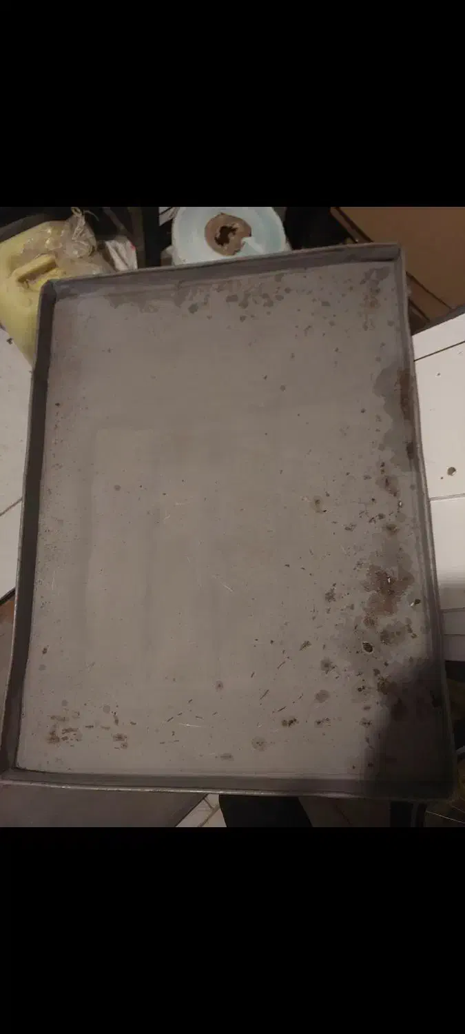 وسایل شیرینی پزی وسینی نان ساندویچی|ظروف پخت‌وپز|اردبیل, |دیوار