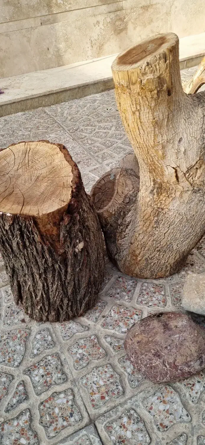تنه درخت|صنایع دستی و سایر لوازم تزئینی|ساوه, |دیوار