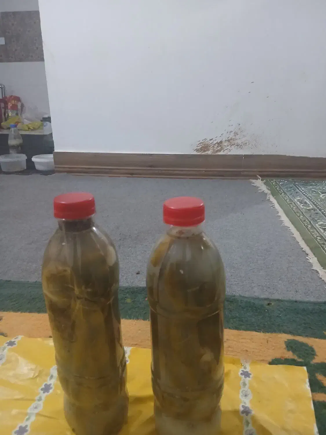 خیار‌شور‌بروجرد|خوردنی و آشامیدنی|بیرانوند, |دیوار