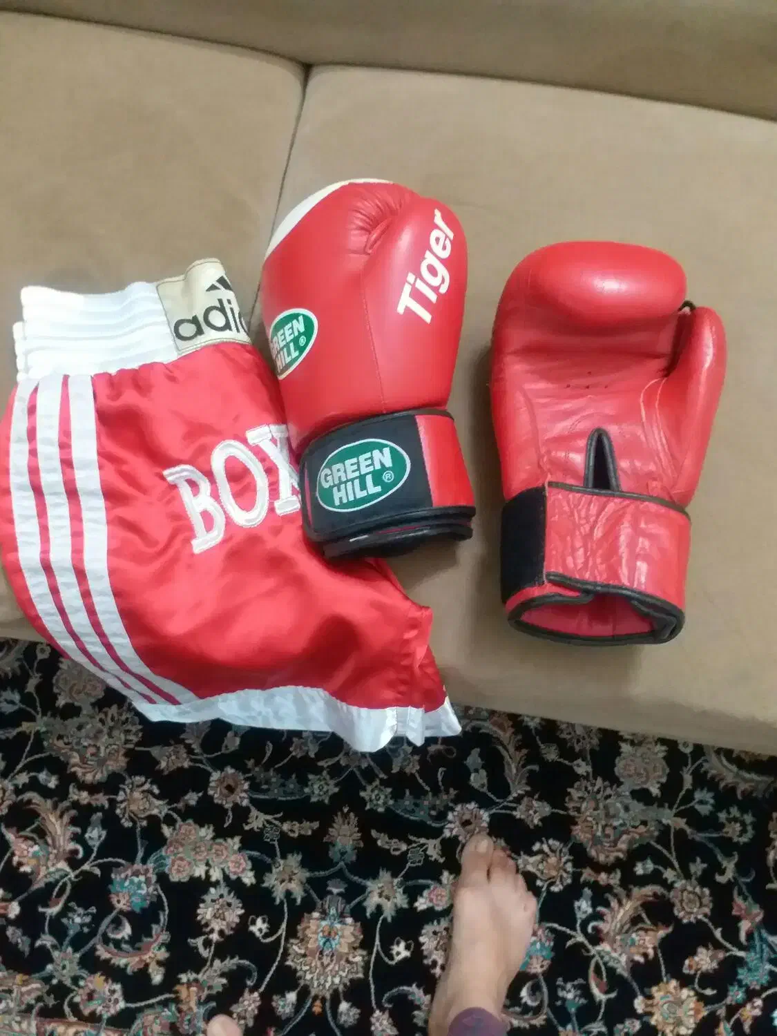 دستکش بوکس|تجهیزات ورزشی|محمدیه-قزوین, |دیوار