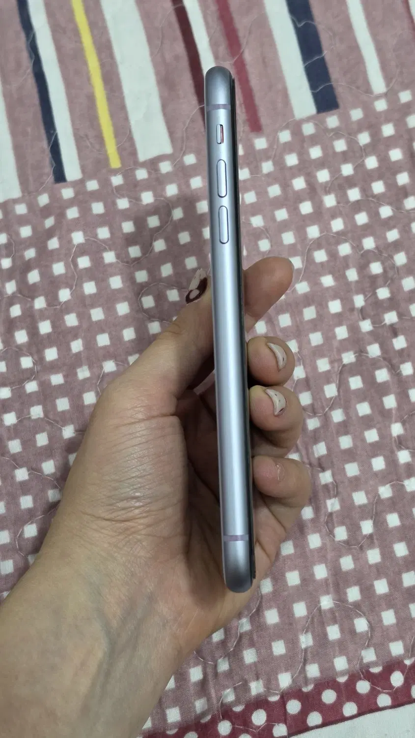 iphone 11 normal|موبایل|قشم, |دیوار