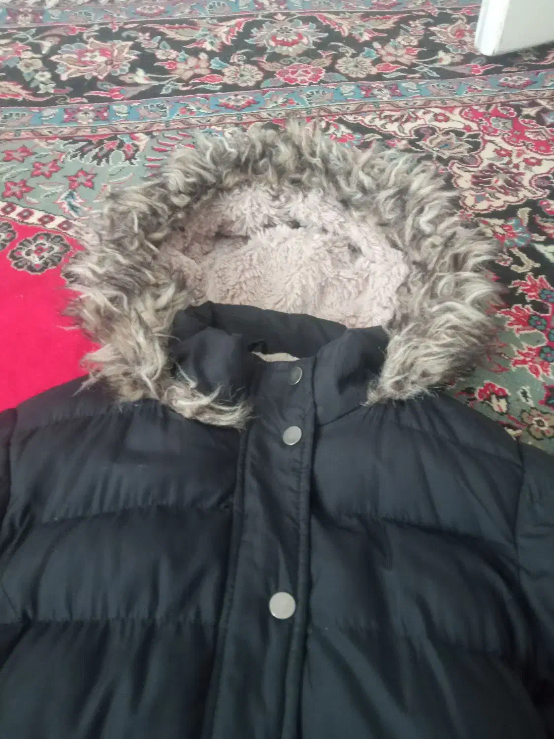 پالتو دخترانه|کفش و لباس بچه|تربت جام, میان جام|دیوار