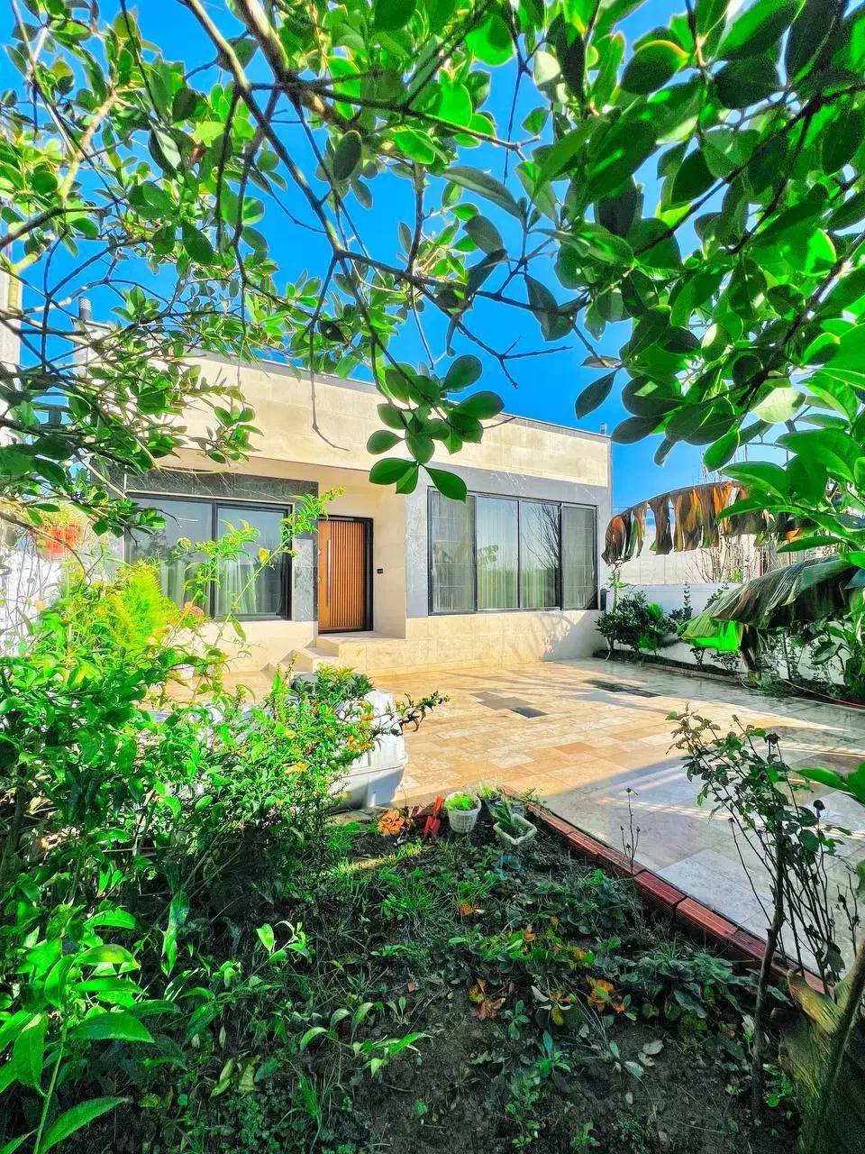 ویلاباغ باویو۳۶۰درجه جنگل|فروش خانه و ویلا|چمستان, |دیوار