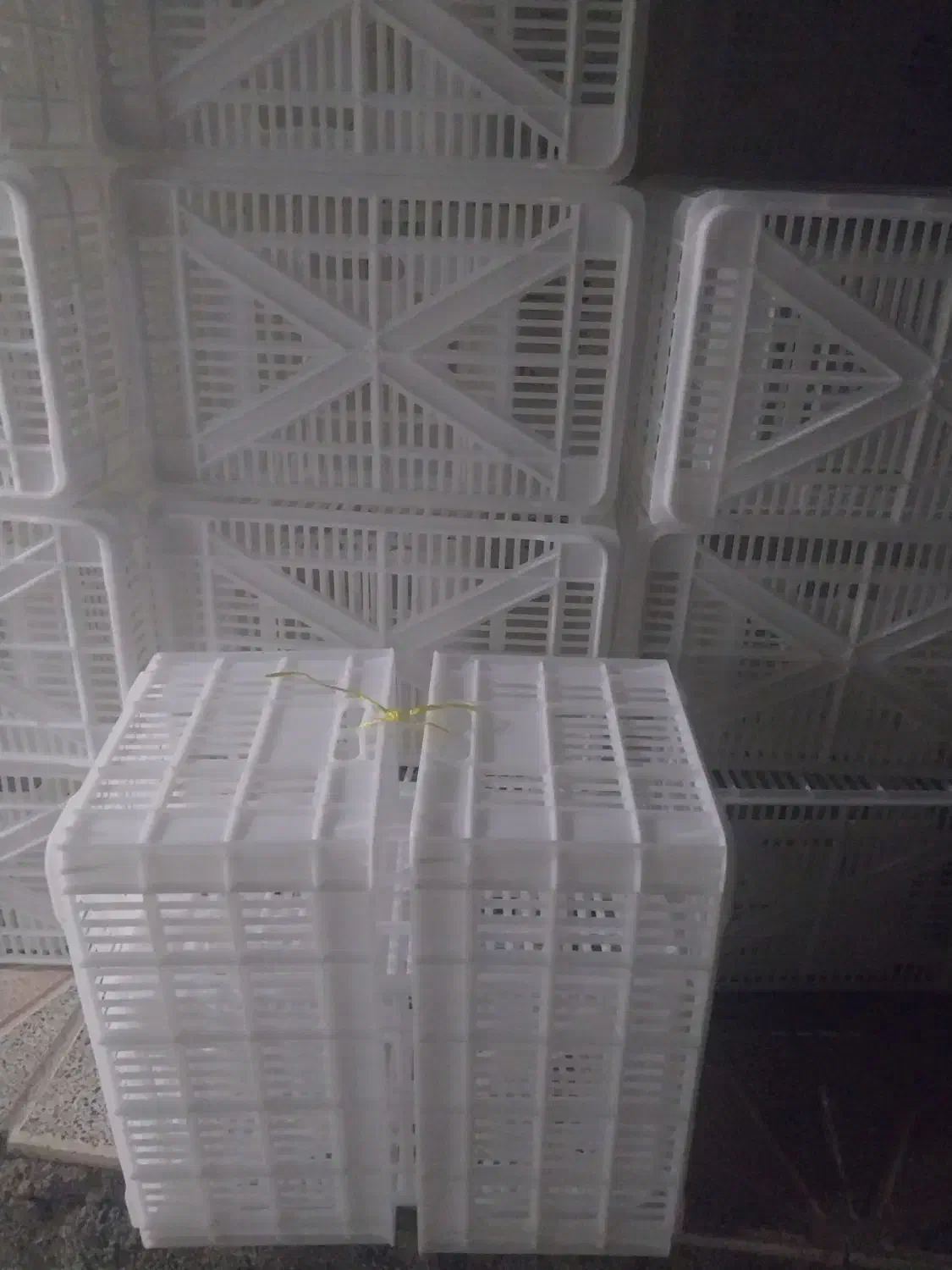 سبد حمالی ۲۰ کیلویی|عمده‌فروشی|کوهنانی, |دیوار