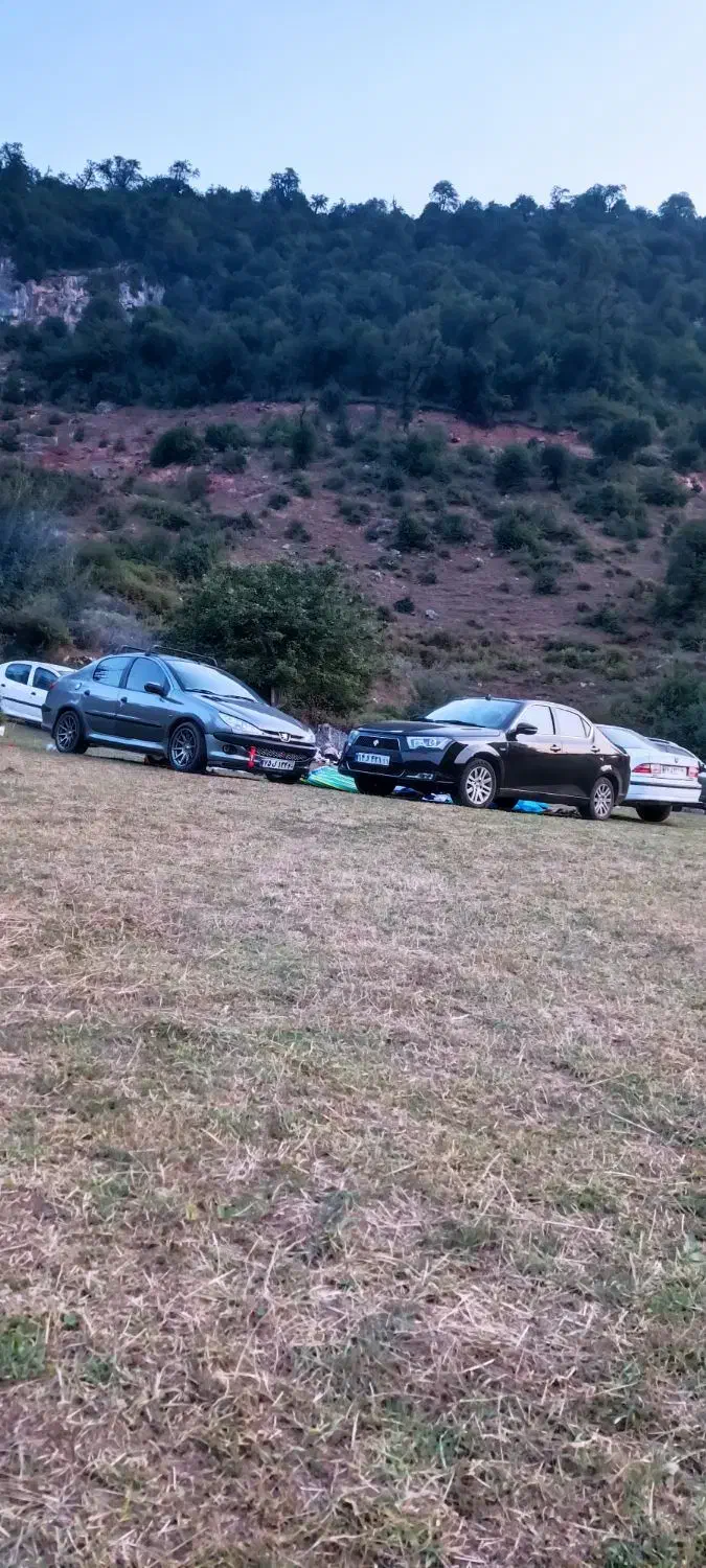 206تیپ5 sd|خودرو سواری و وانت|تهران, امام زاده عبدالله|دیوار