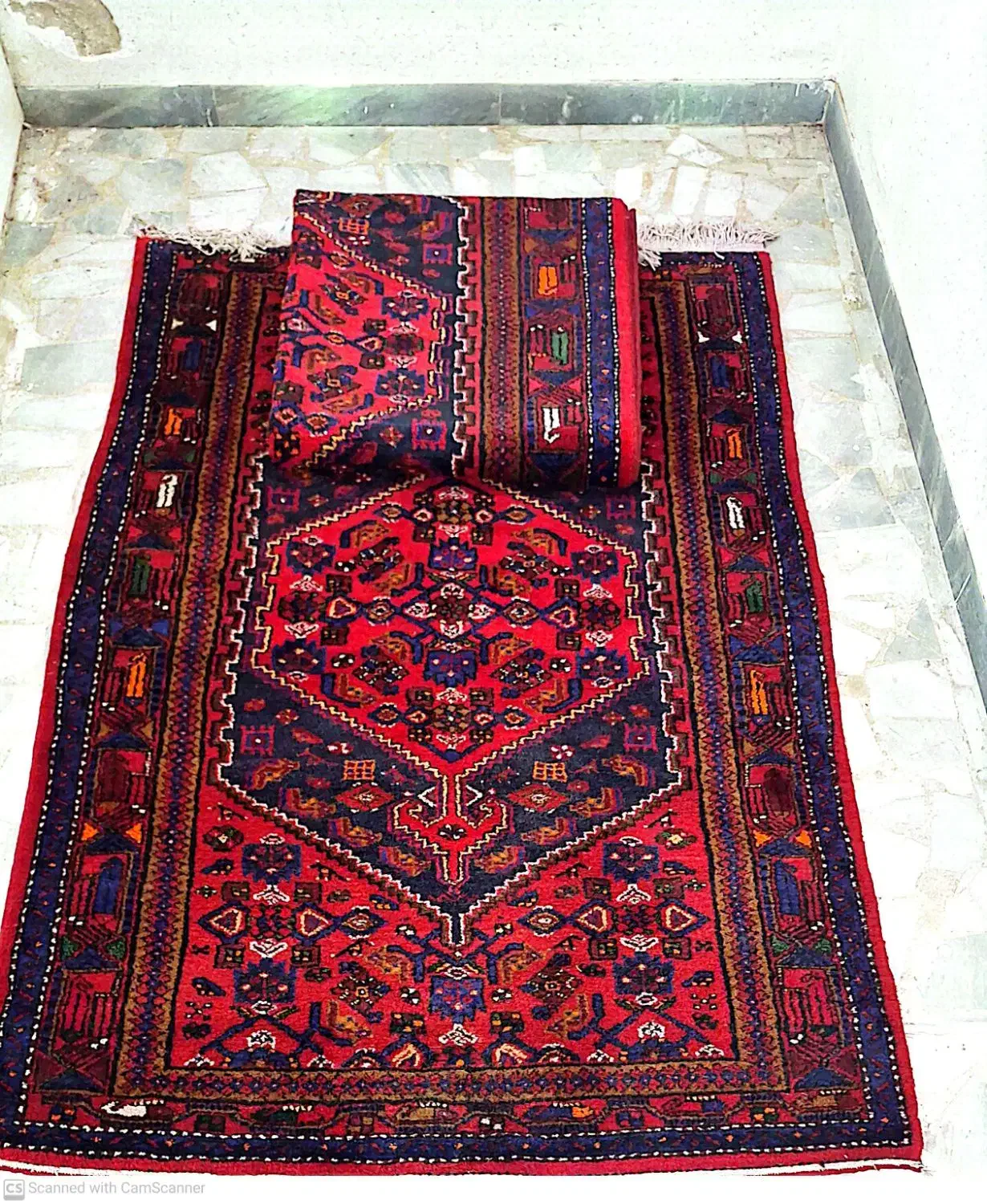 طارو زنجان قالیچه دستبافت|فرش|قزوین, |دیوار