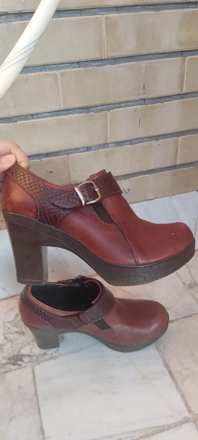 کفش چرم قهوه ای|کیف، کفش، کمربند|قزوین, |دیوار