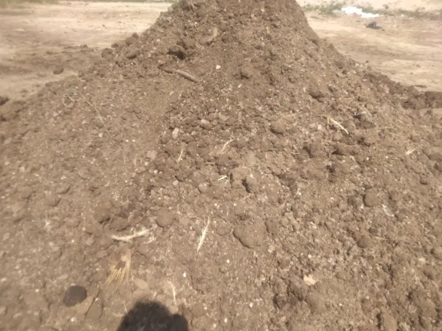 کود مرغ گوشتی|خدمات باغبانی و درختکاری|شیراز, گل سرخ|دیوار