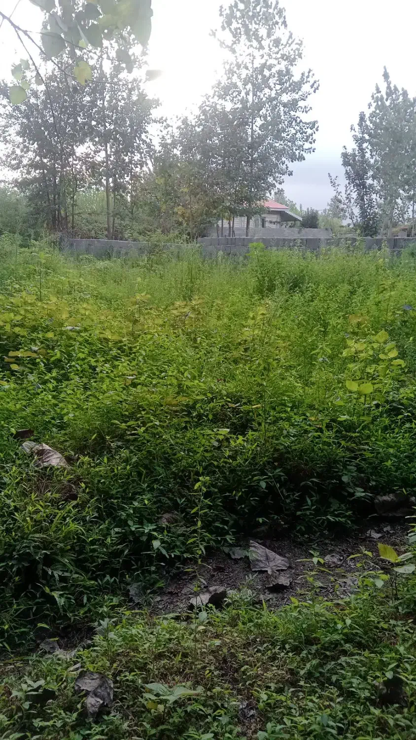 ۳۴۱متر کامل مسکونی روستا اشکلن لولمان سند تک برگ|فروش زمین و ملک کلنگی|فومن, |دیوار