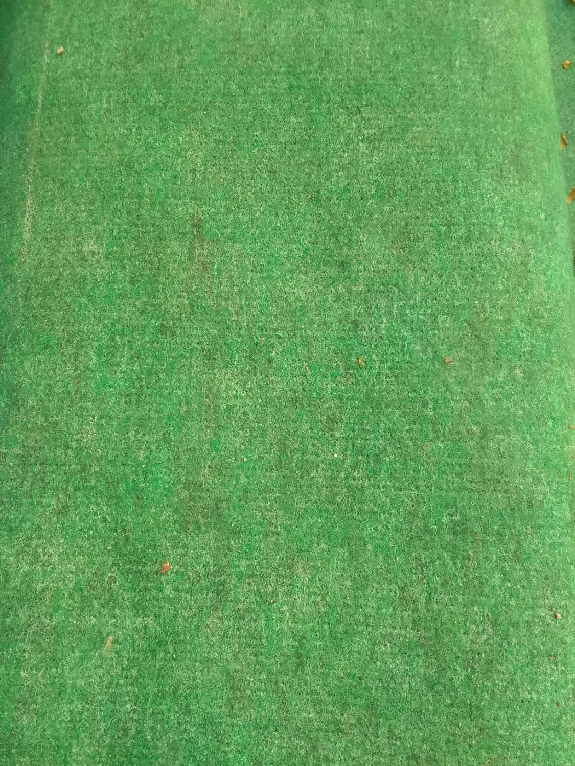 ۷۰ متر موکت سبز رنگ|موکت|رفسنجان, |دیوار