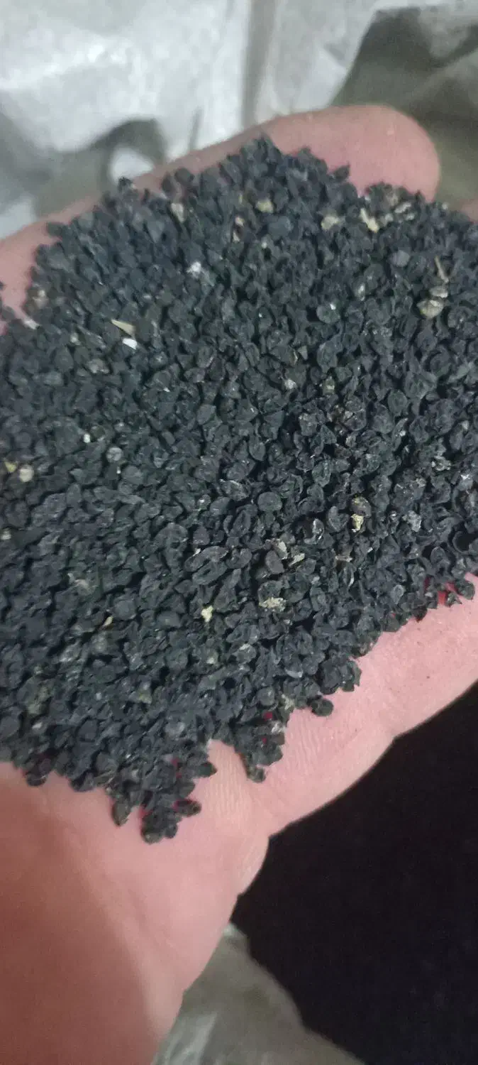 بذر(تخم) سبزی (تره)|خدمات باغبانی و درختکاری|مبارکه, |دیوار