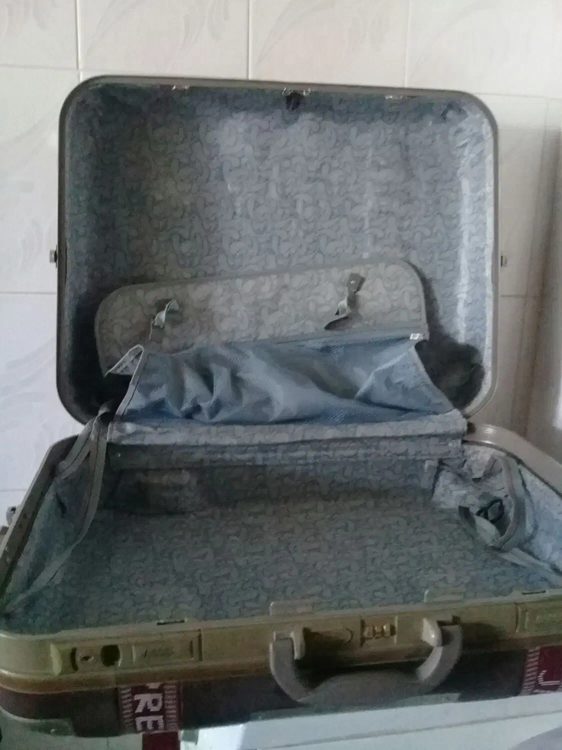 چمدان|کیف، کفش، کمربند|خمینیشهر, |دیوار