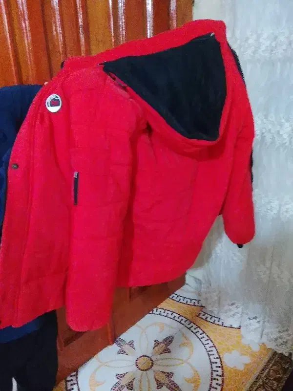 کاپشن|لباس|رشت, سلیمانداراب|دیوار