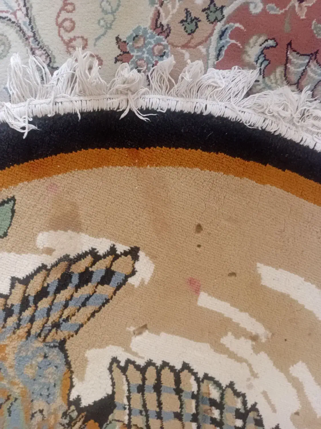 پادری ماشینی.گرد|پادری|اندیشه, اندیشه فاز ۴|دیوار