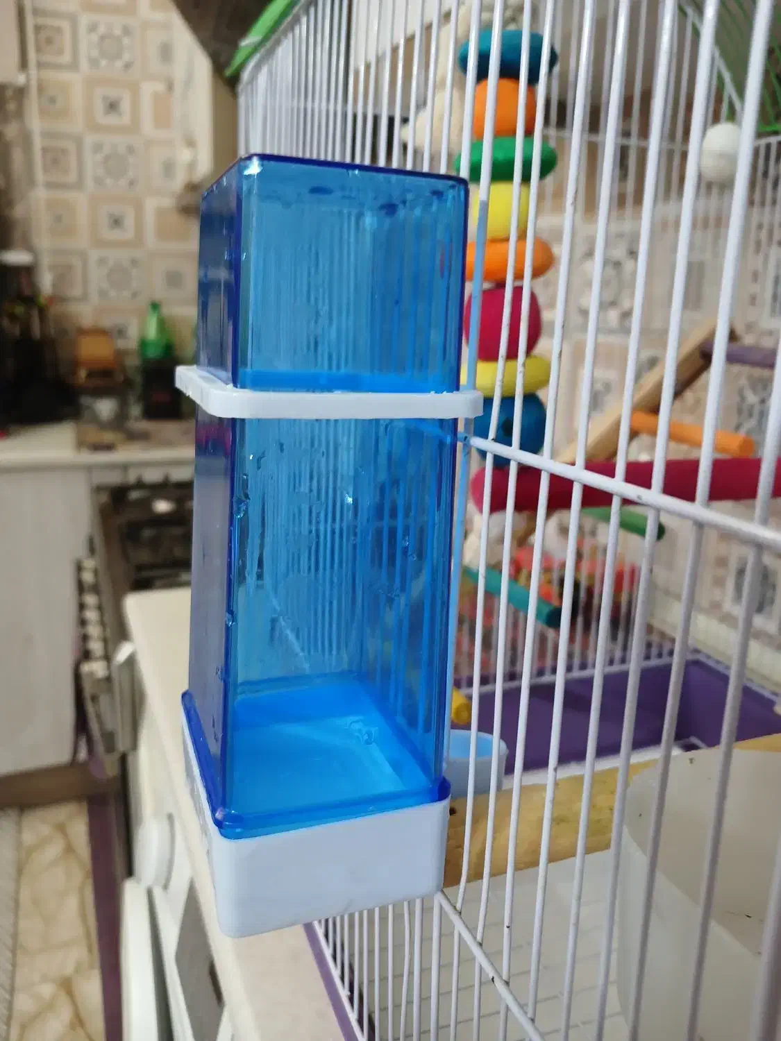 قفس پرنده همراه تمامی لوازم|لوازم جانبی حیوانات|تهران, مشیریه|دیوار