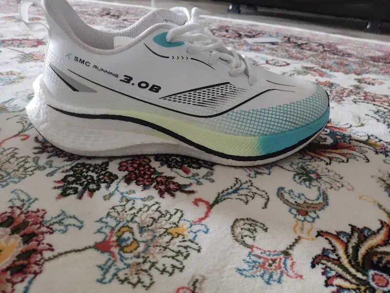 کفش|کیف، کفش، کمربند|بانه, |دیوار