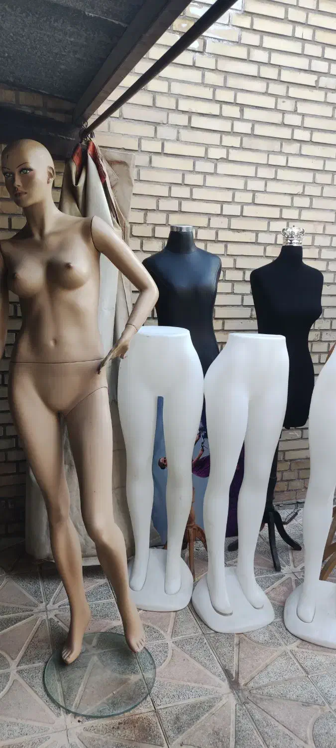 رگال ومانکن|حراج|جم, |دیوار